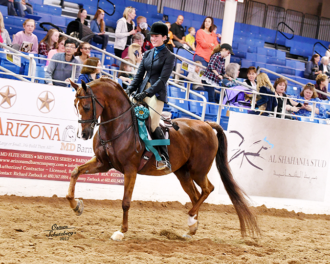 Culbreth Equine